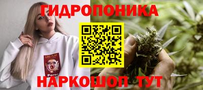 прущие крисы Кумертау