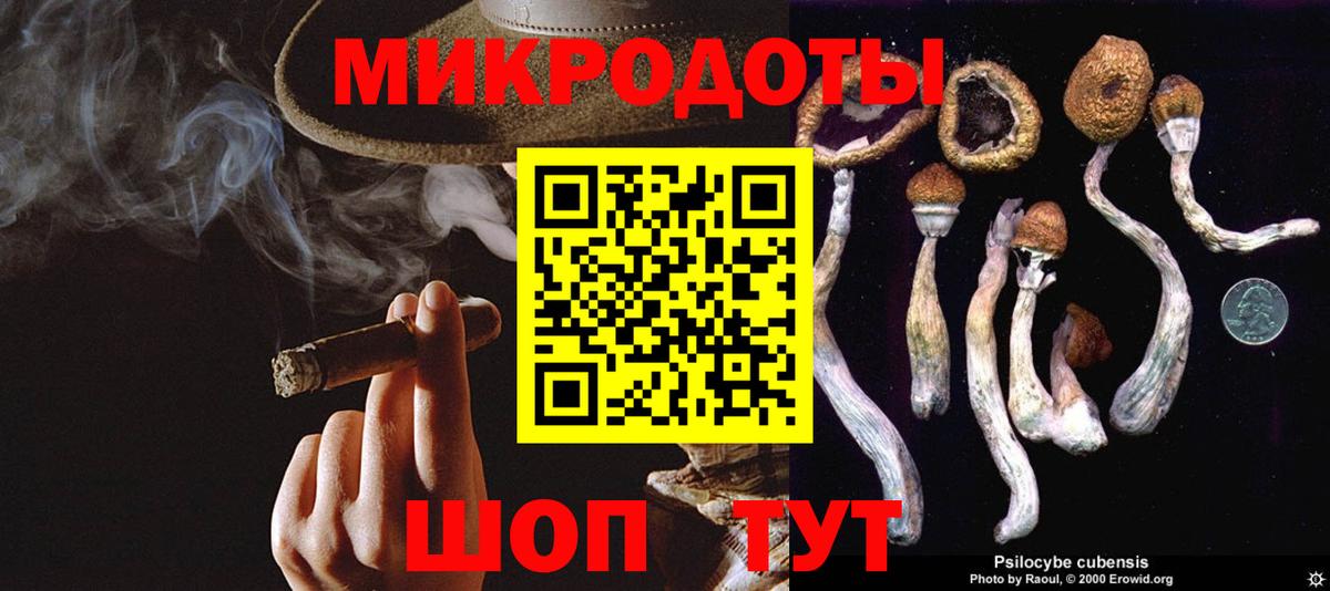 Галлюциногенные грибы Cubensis  Вход с VPN  сколько стоит  Ессентуки 